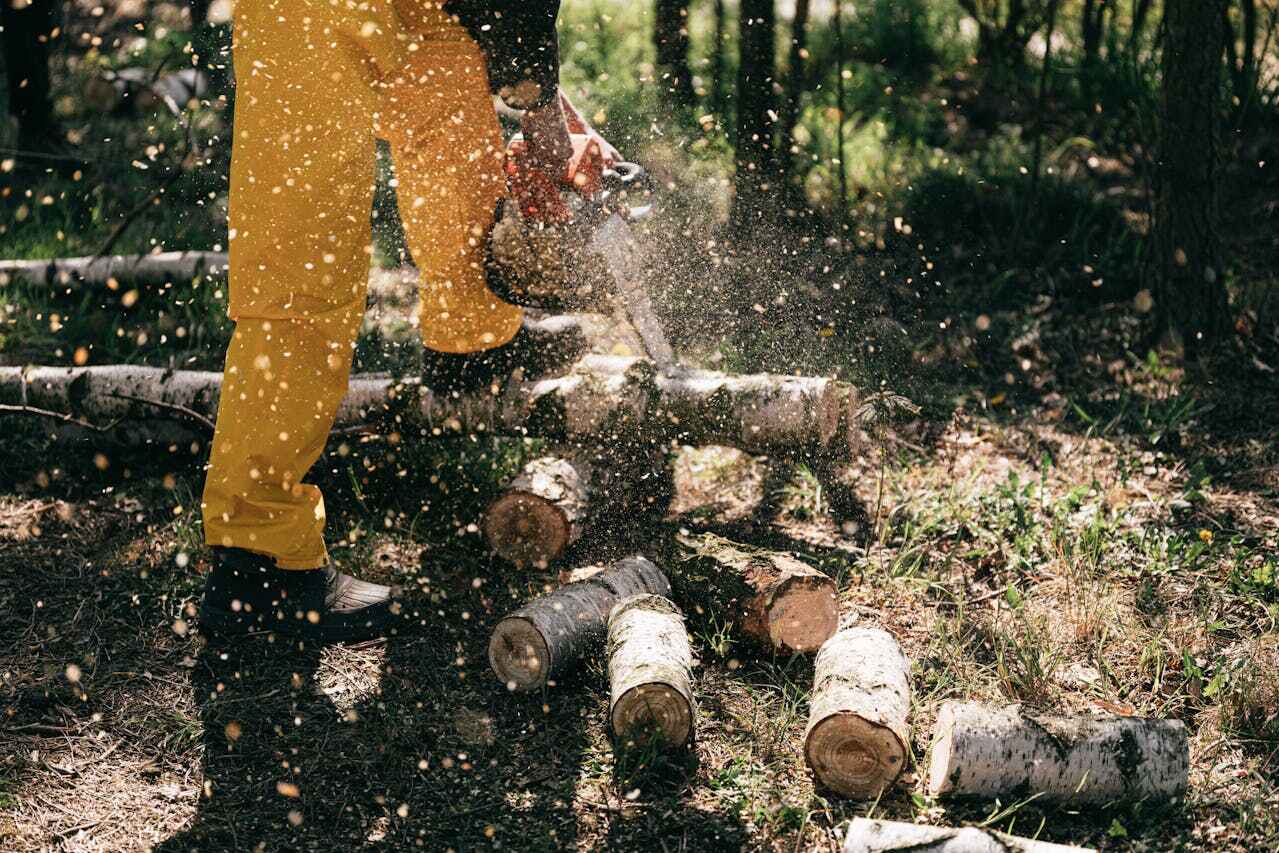 Mountain Lake, MN Tree Service Company